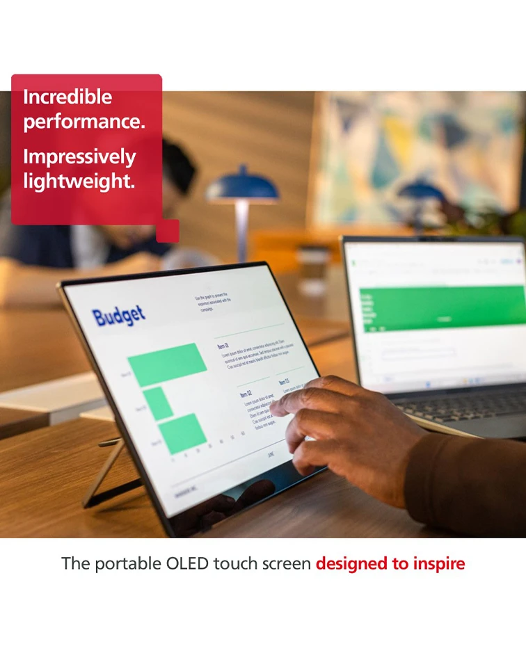 Ricoh Portable Monitor 150