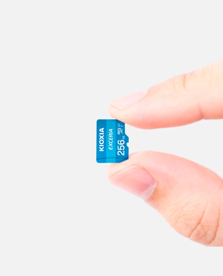 KIOXIA mSD EXCERIA 64GB