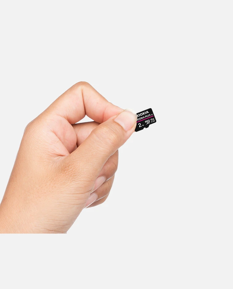 KIOXIA mSD EXCERIA PLUS G2 256GB