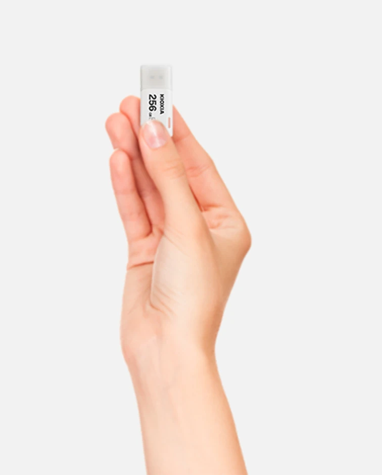 KIOXIA TransMemory U301W 64GB