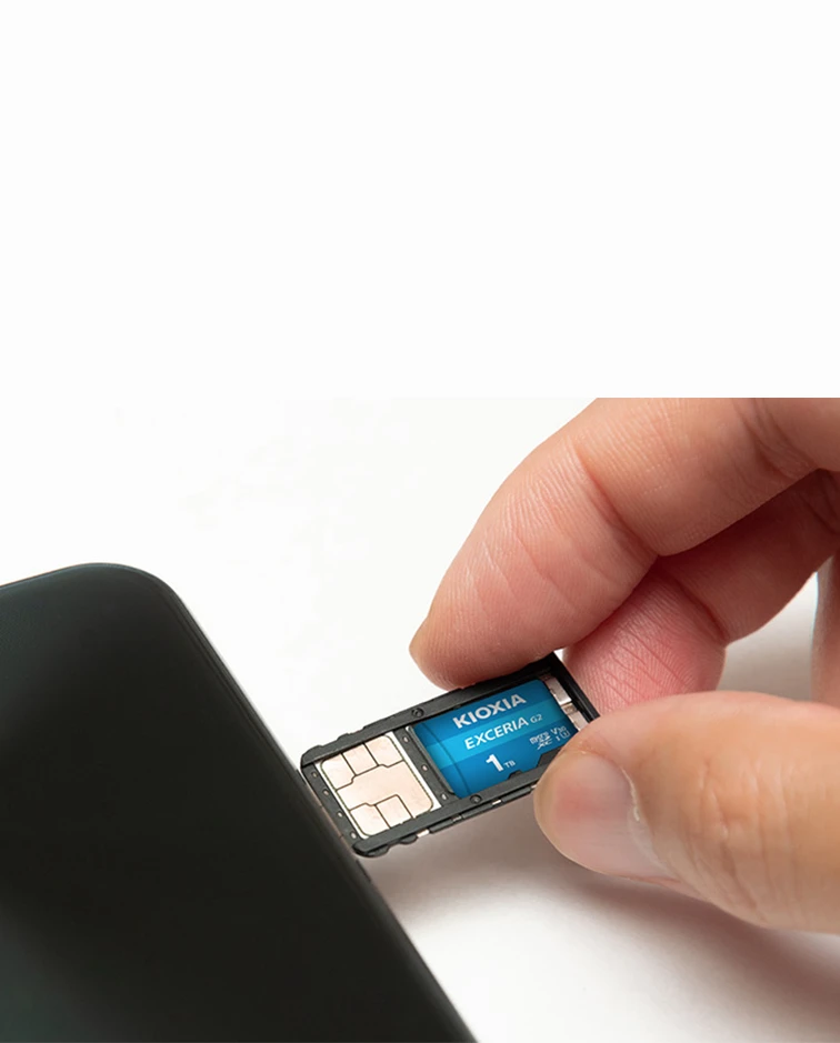KIOXIA mSD EXCERIA G2 256GB