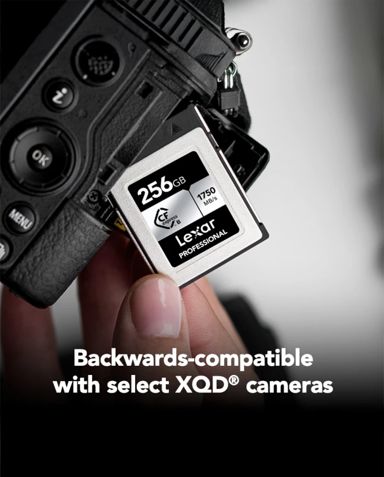 Lexar® 256GB Professional CFexpress™ 2.0 Type B Card SILVER Series