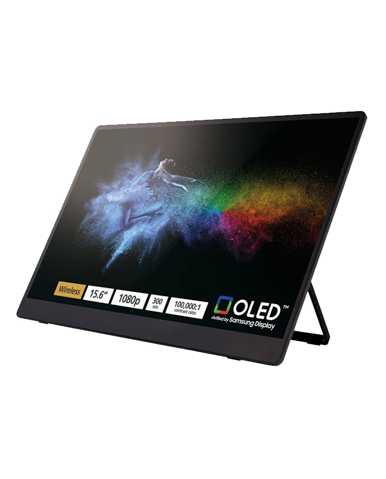 Ricoh Portable Monitor 150