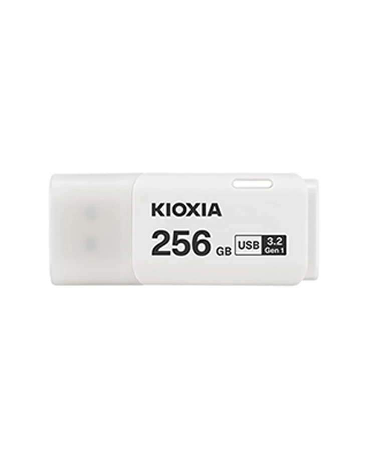 KIOXIA TransMemory U301W 256GB