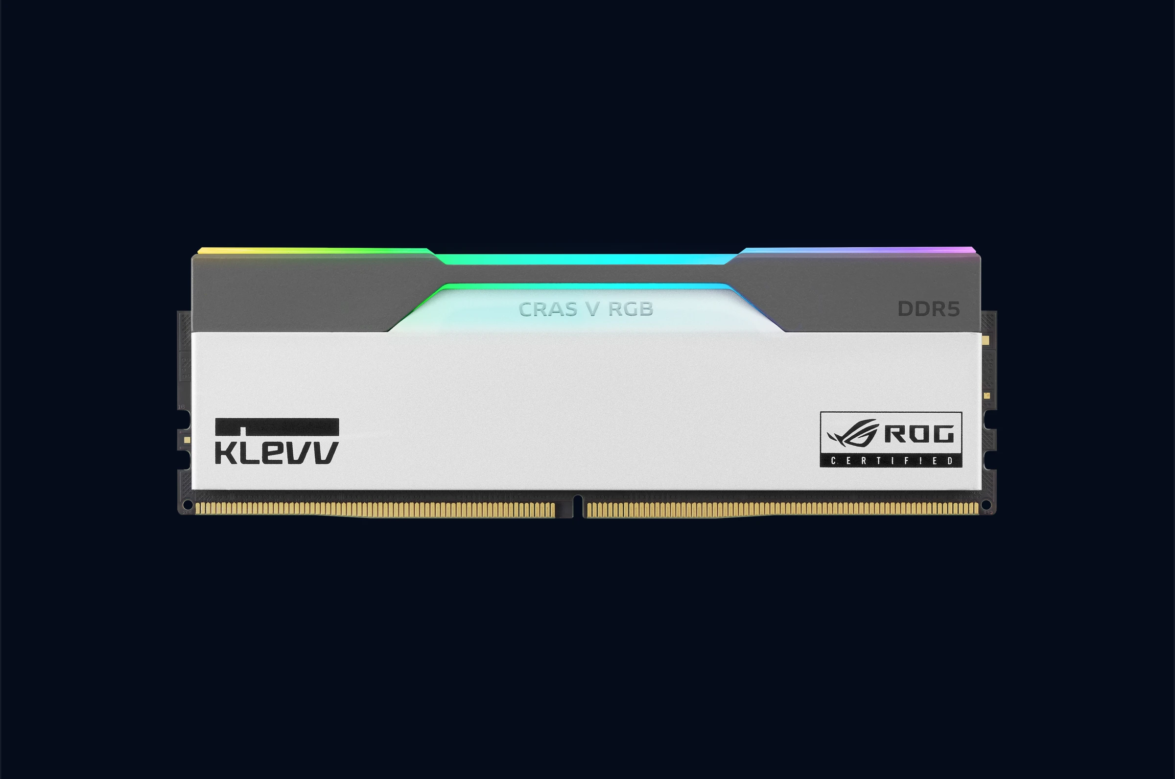 main-banner