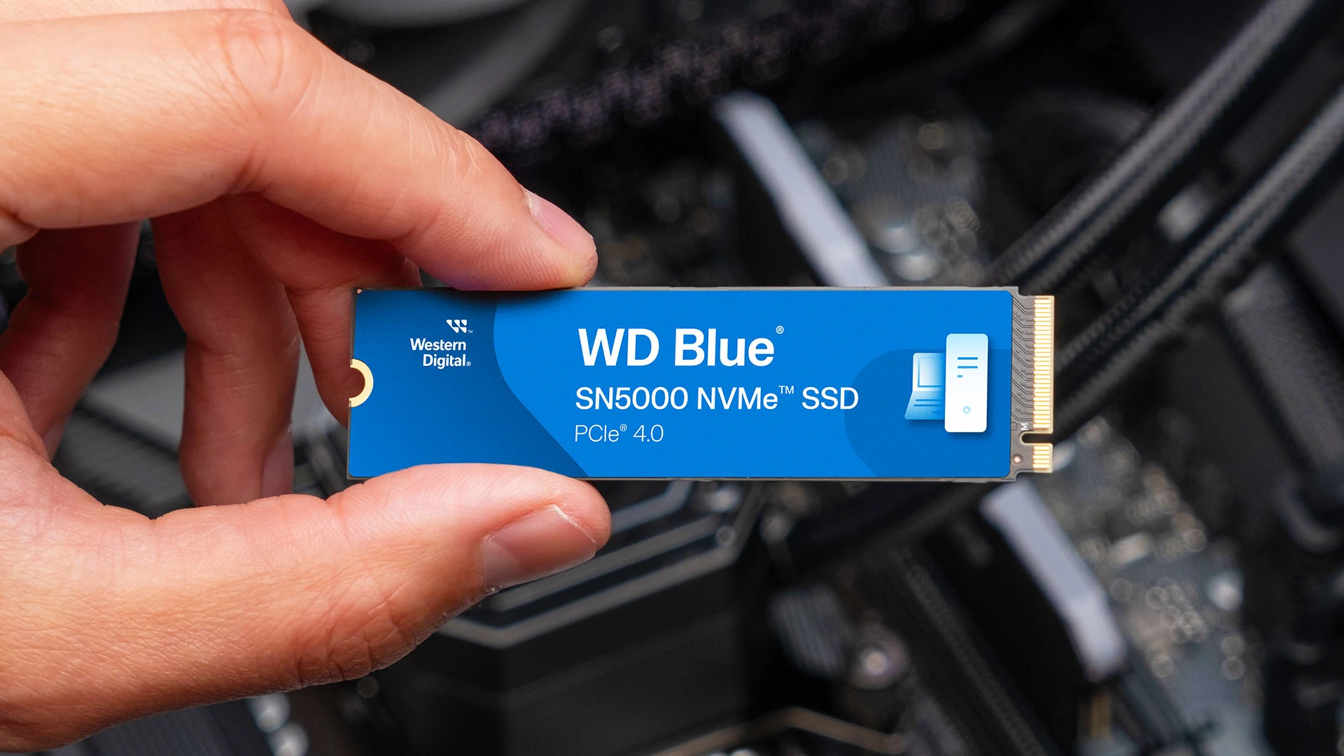 Western Digital